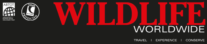 The Natural Travel Collection